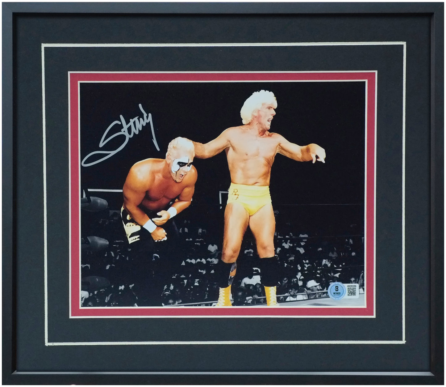 Sting 8x10 Landscape Photo – Signed & Authenticated