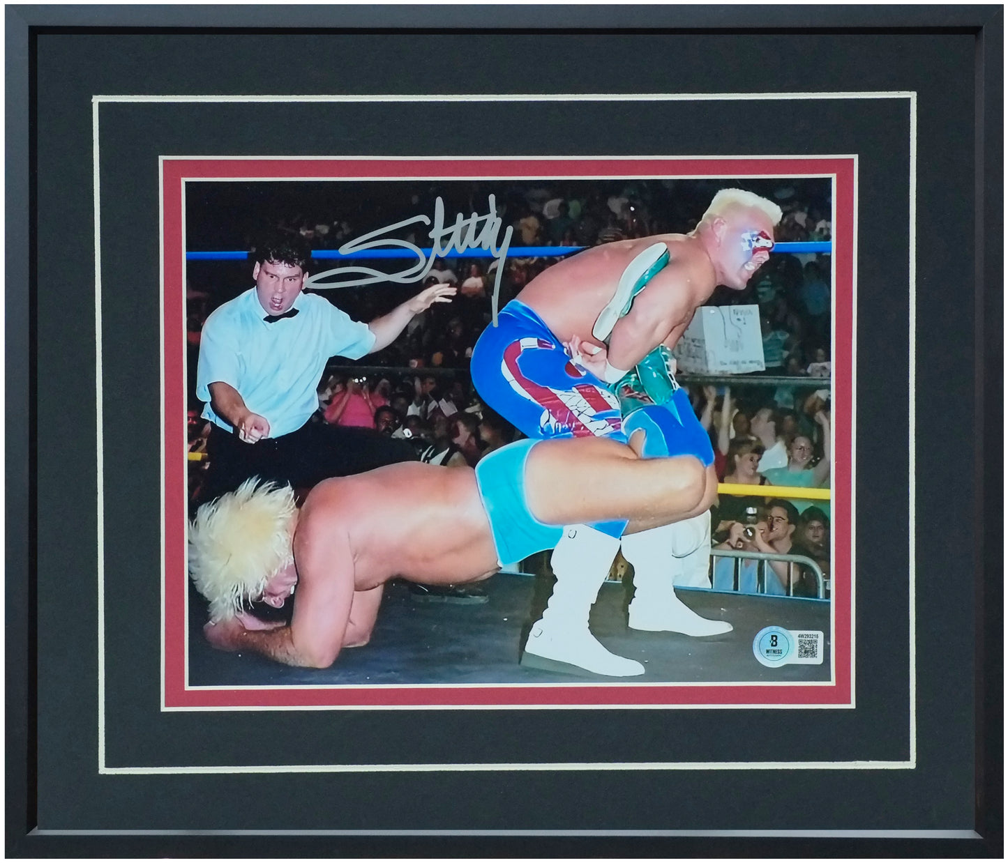 Sting 8x10 Landscape Photo – Signed & Authenticated